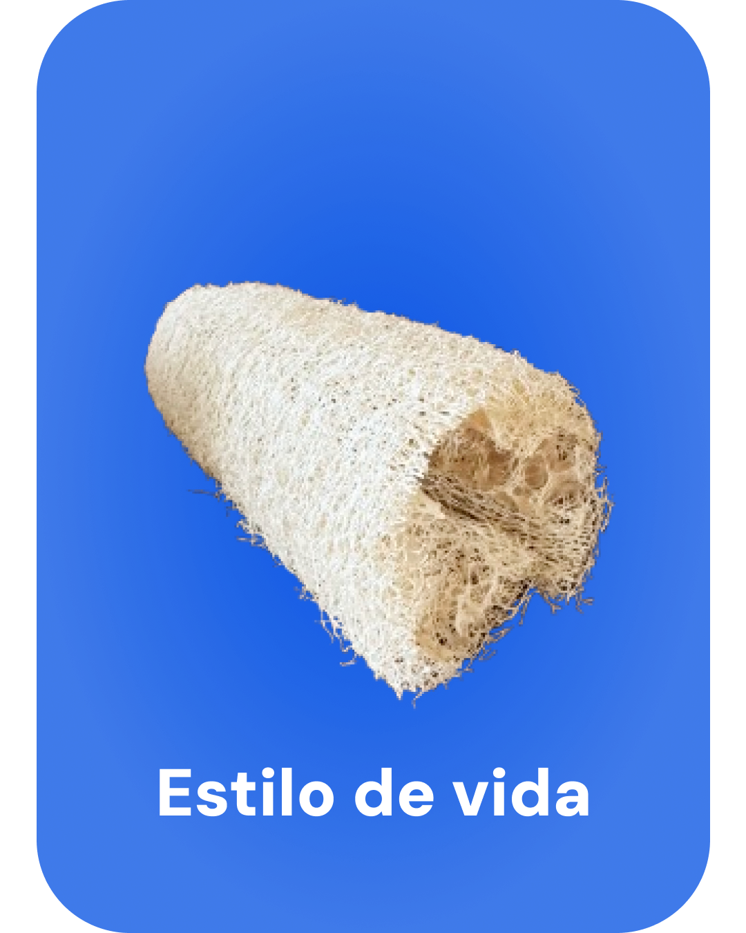 Estilo de vida