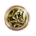 HOJA DE SEN