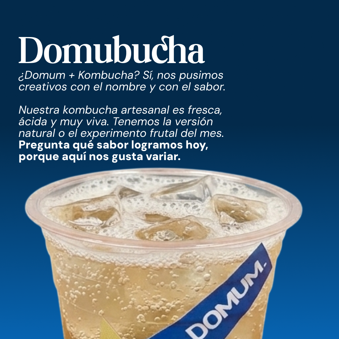 DOMUBUCHA