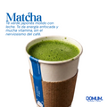 MATCHA LATTE CALIENTE